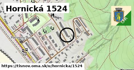 Hornická 1524, Tišnov