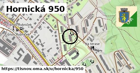 Hornická 950, Tišnov