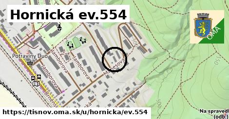 Hornická ev.554, Tišnov