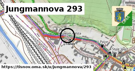 Jungmannova 293, Tišnov
