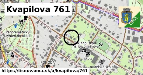 Kvapilova 761, Tišnov