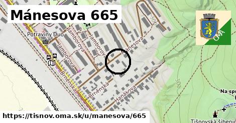 Mánesova 665, Tišnov