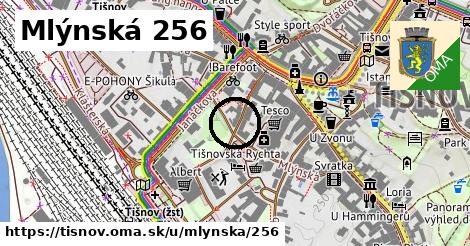 Mlýnská 256, Tišnov