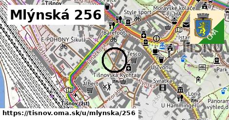 Mlýnská 256, Tišnov