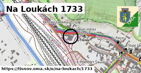 Na Loukách 1733, Tišnov