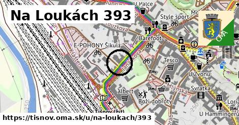 Na Loukách 393, Tišnov