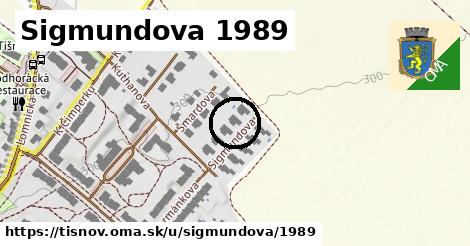 Sigmundova 1989, Tišnov