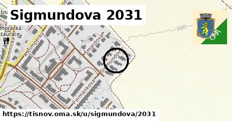 Sigmundova 2031, Tišnov