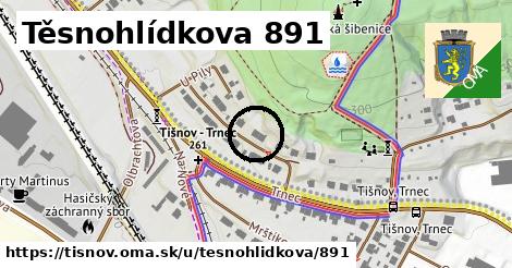 Těsnohlídkova 891, Tišnov