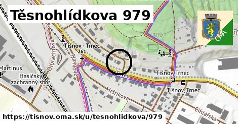 Těsnohlídkova 979, Tišnov