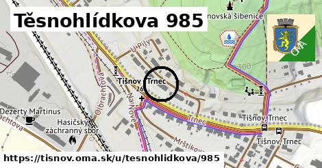 Těsnohlídkova 985, Tišnov