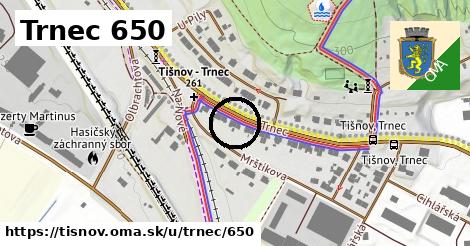 Trnec 650, Tišnov