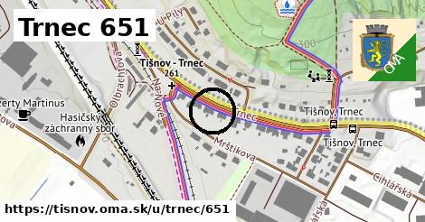 Trnec 651, Tišnov