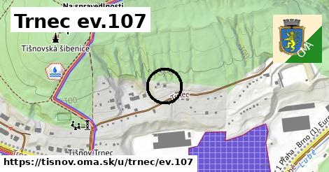 Trnec ev.107, Tišnov