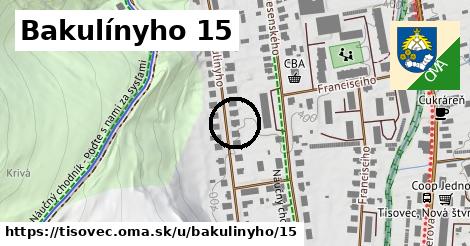 Bakulínyho 15, Tisovec