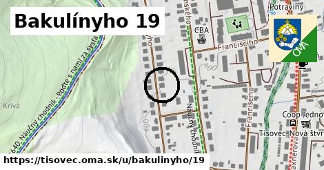 Bakulínyho 19, Tisovec