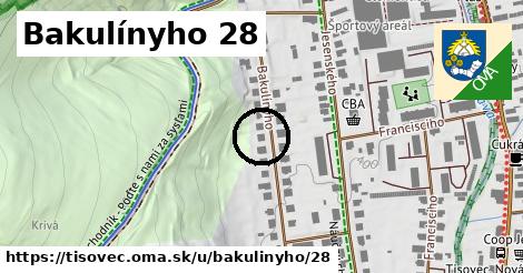 Bakulínyho 28, Tisovec