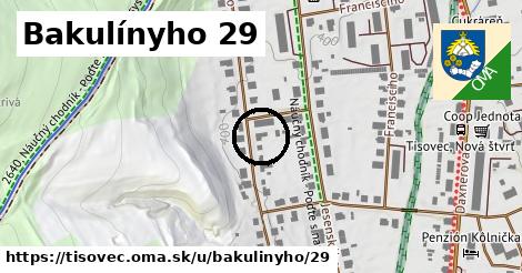 Bakulínyho 29, Tisovec