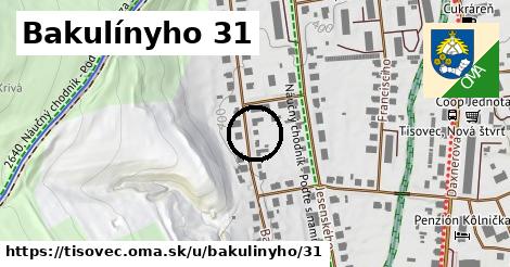 Bakulínyho 31, Tisovec