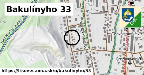 Bakulínyho 33, Tisovec