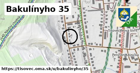 Bakulínyho 35, Tisovec