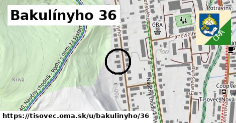 Bakulínyho 36, Tisovec