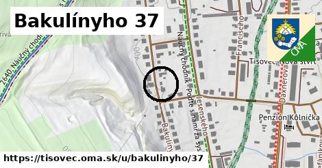 Bakulínyho 37, Tisovec