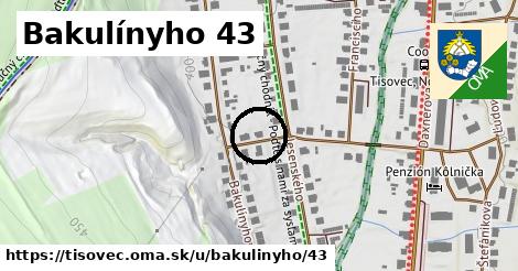 Bakulínyho 43, Tisovec