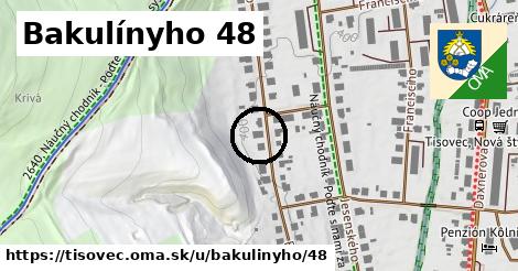 Bakulínyho 48, Tisovec