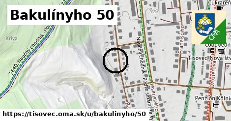 Bakulínyho 50, Tisovec