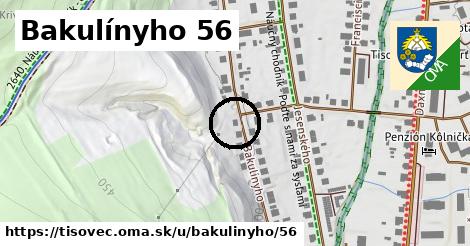 Bakulínyho 56, Tisovec