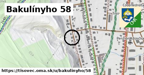 Bakulínyho 58, Tisovec