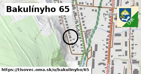 Bakulínyho 65, Tisovec