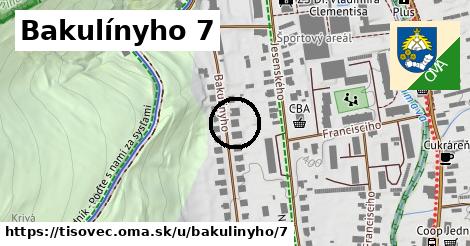 Bakulínyho 7, Tisovec