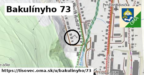 Bakulínyho 73, Tisovec