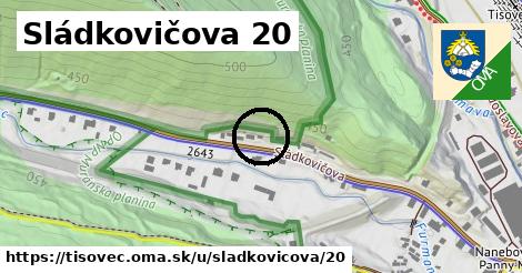Sládkovičova 20, Tisovec