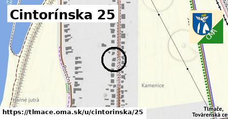 Cintorínska 25, Tlmače