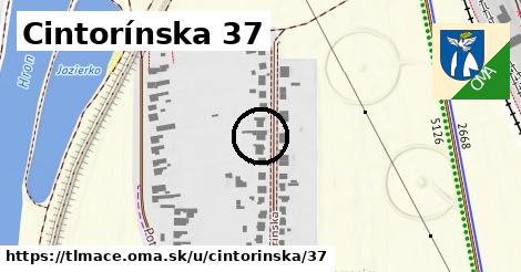 Cintorínska 37, Tlmače