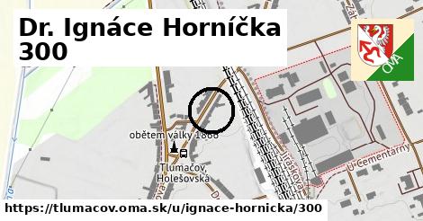 Dr. Ignáce Horníčka 300, Tlumačov