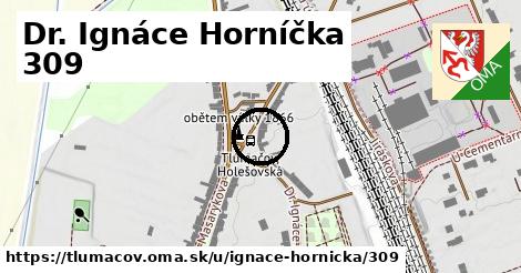 Dr. Ignáce Horníčka 309, Tlumačov