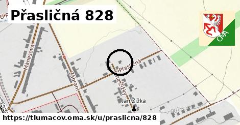 Přasličná 828, Tlumačov