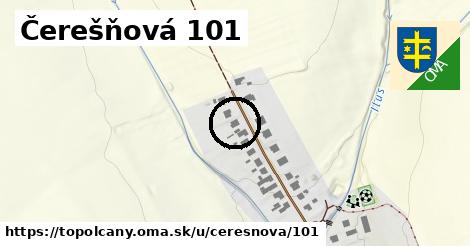 Čerešňová 101, Topoľčany