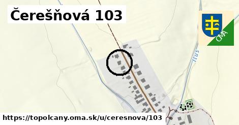 Čerešňová 103, Topoľčany