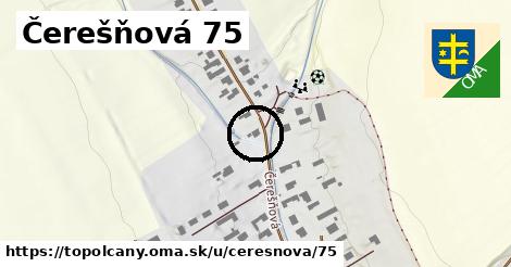 Čerešňová 75, Topoľčany