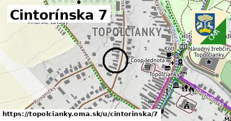 Cintorínska 7, Topoľčianky