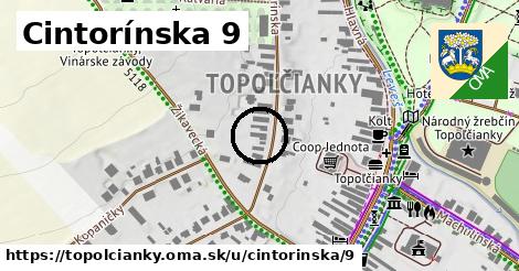 Cintorínska 9, Topoľčianky