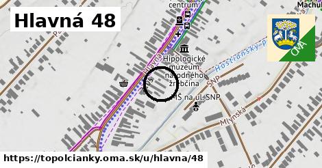 Hlavná 48, Topoľčianky