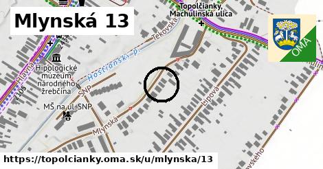 Mlynská 13, Topoľčianky