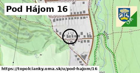 Pod Hájom 16, Topoľčianky