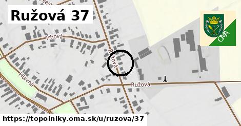 Ružová 37, Topoľníky